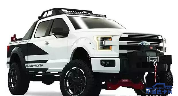 F-150Ƥ ôװ治