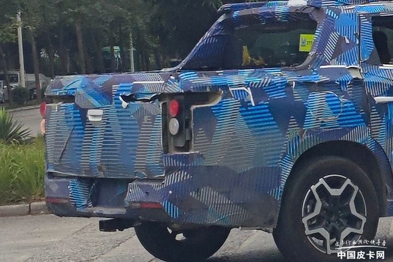 ۻѶ ǵϵڶƤع