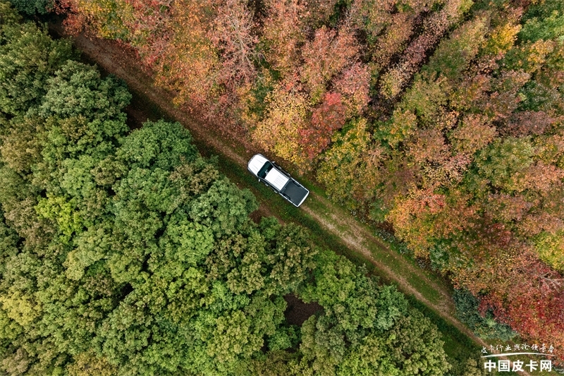 ֹЩɽذ桱ƤЩɽ·ڿƼ